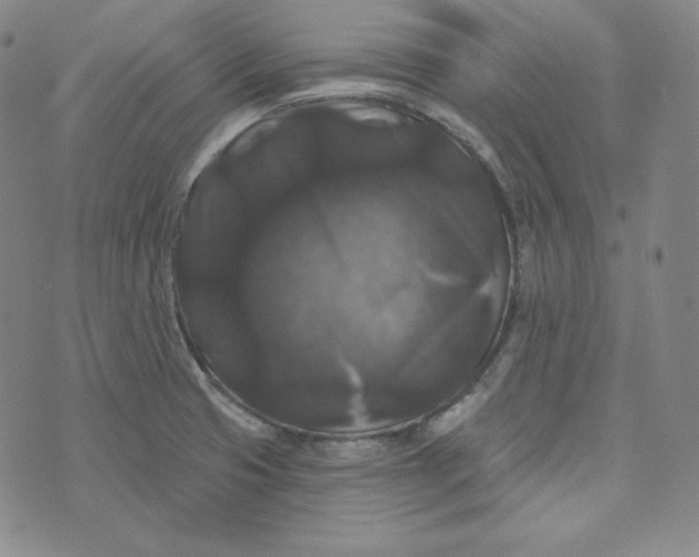 X0000074011425200609111612