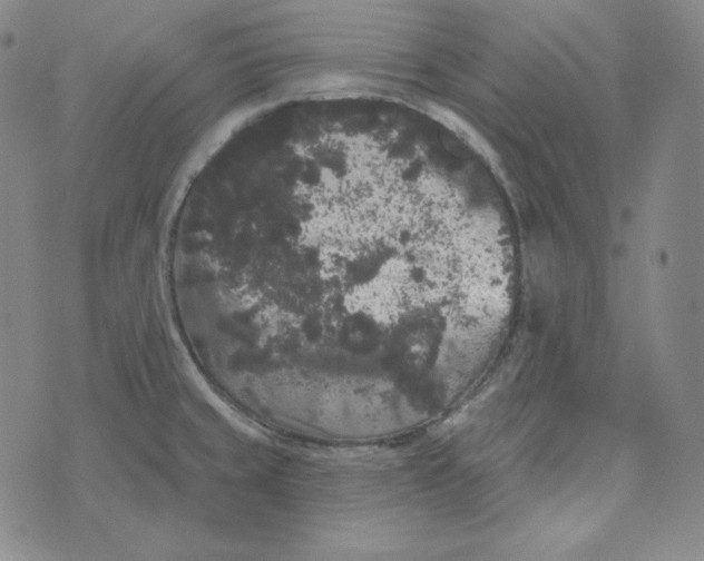 X0000074011429200609111612