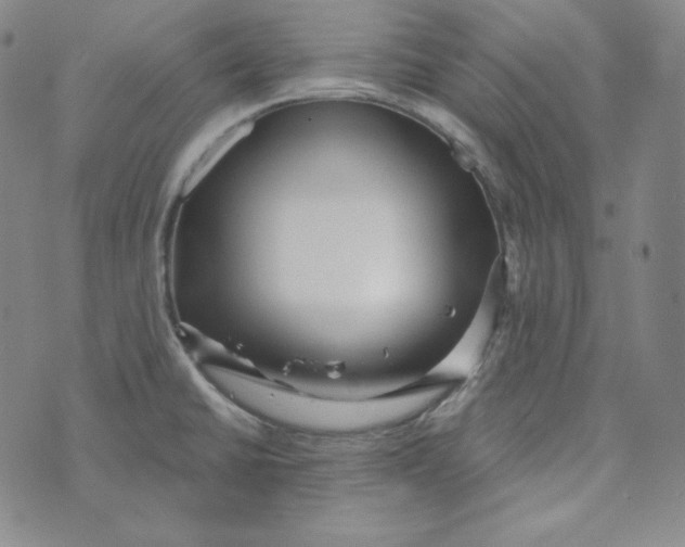 X0000074011430200609111612