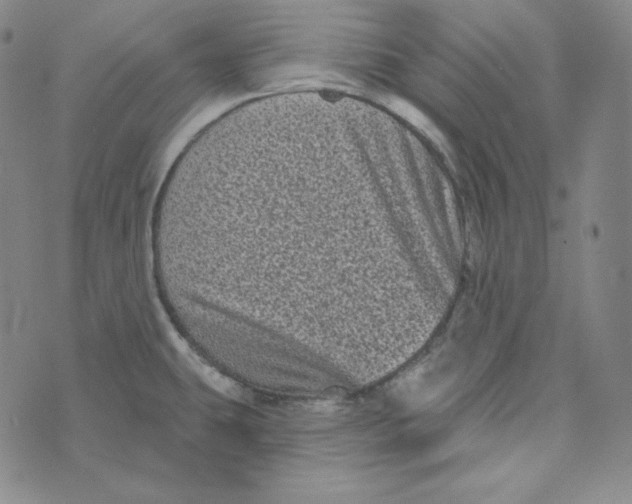 X0000074011431200609111612