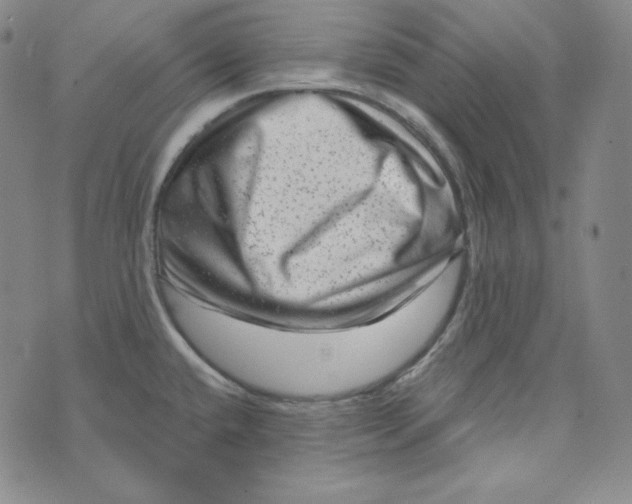 X0000074011432200609111612