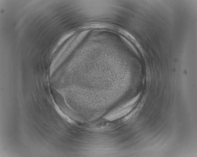 X0000074011433200609111612