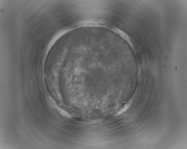 X0000074011435200609111612