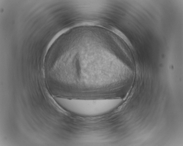 X0000074011436200609111612