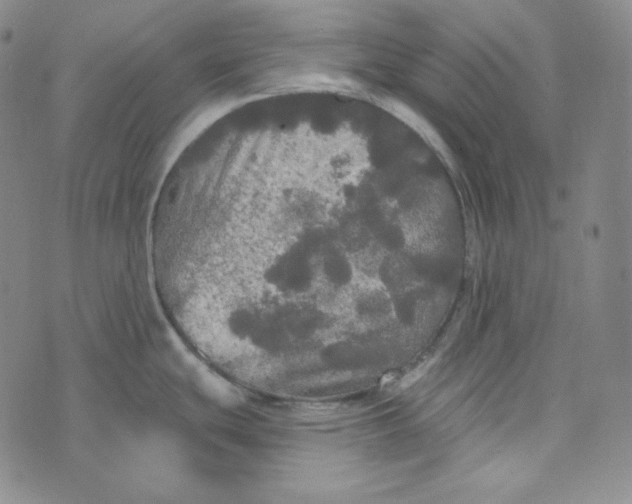 X0000074011439200609111612