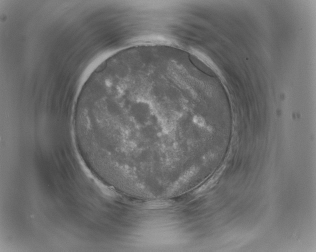 X0000074011440200609111612