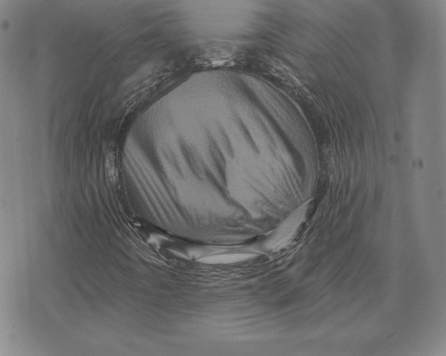 X0000074011442200609111612