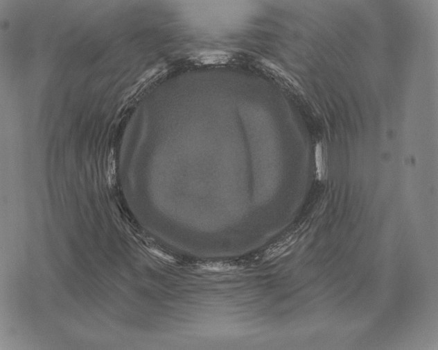 X0000074011443200609111612