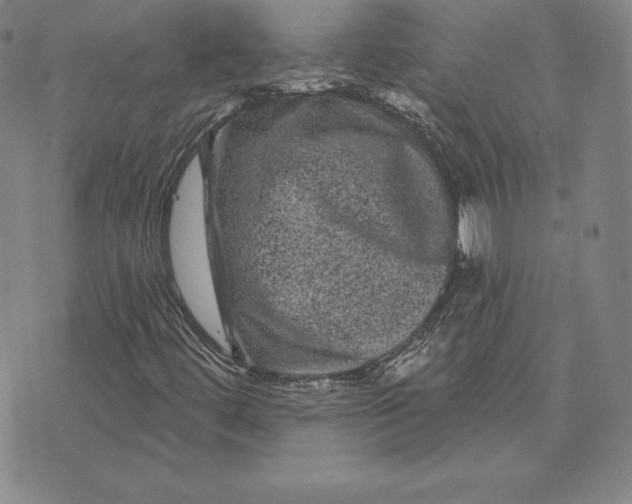 X0000074011444200609111612