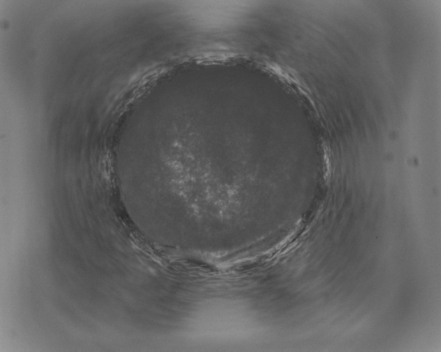 X0000074011445200609111611