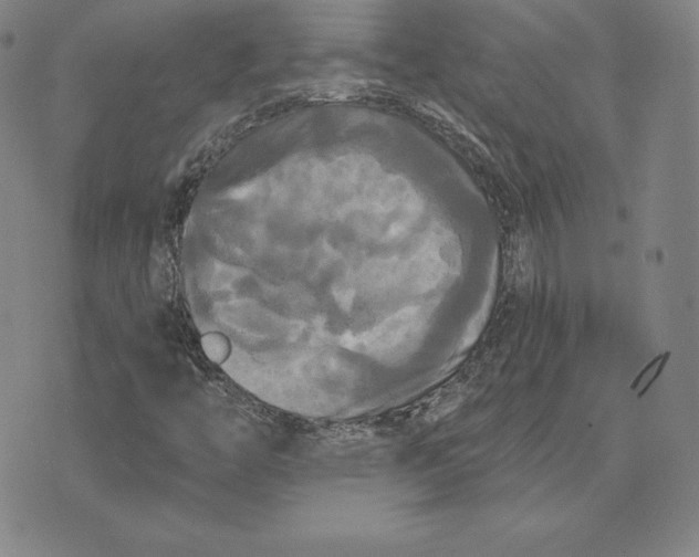 X0000074011446200609111611