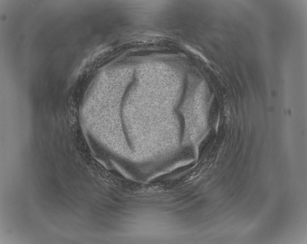 X0000074011447200609111611