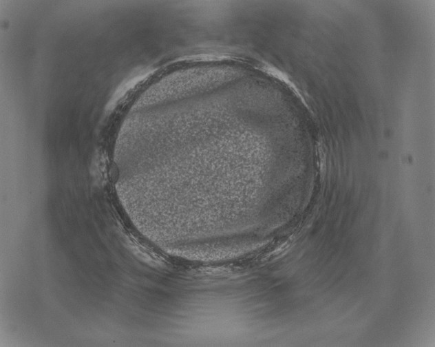 X0000074011448200609111611