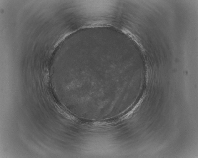 X0000074011449200609111611