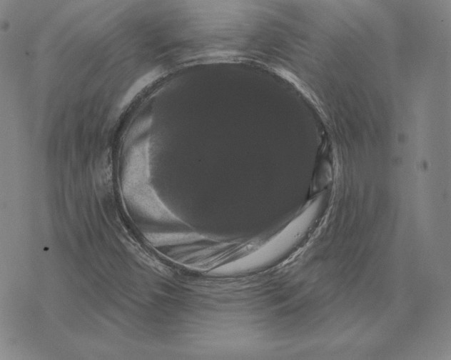 X0000074011450200609111611