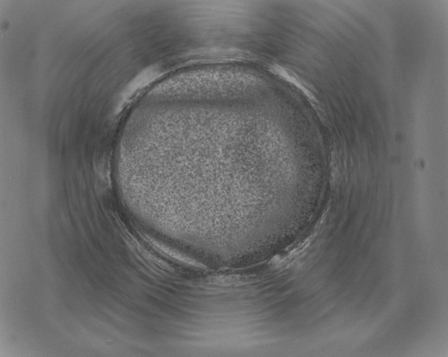 X0000074011451200609111611