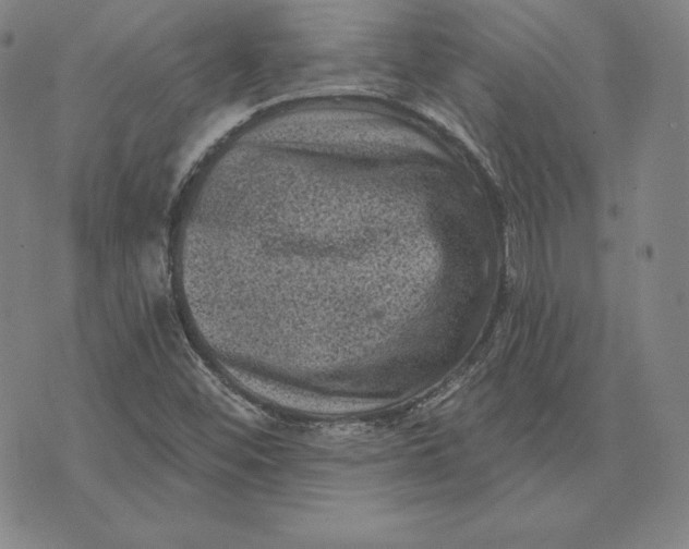 X0000074011452200609111611