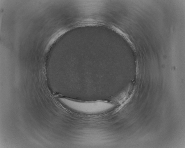 X0000074011453200609111611