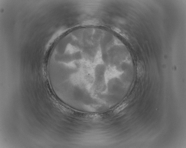 X0000074011454200609111611