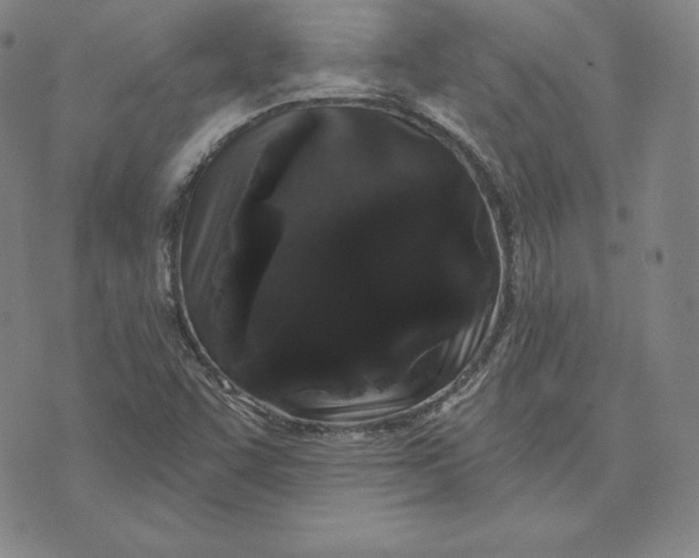 X0000074011455200609111611