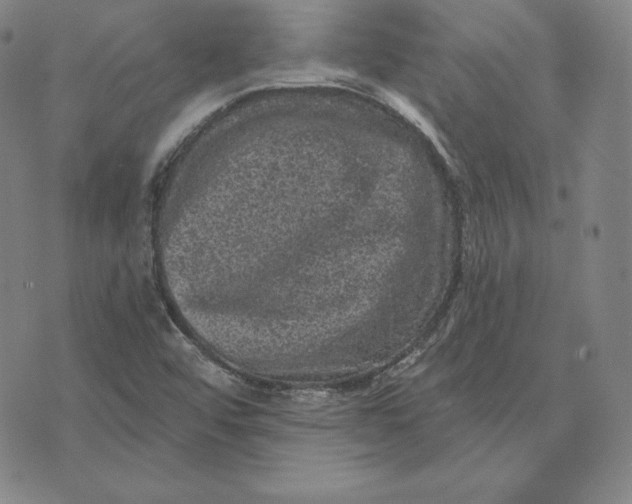 X0000074011456200609111611