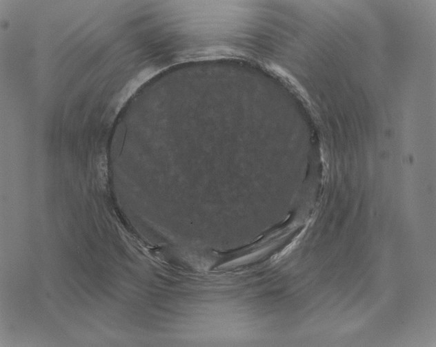 X0000074011457200609111611