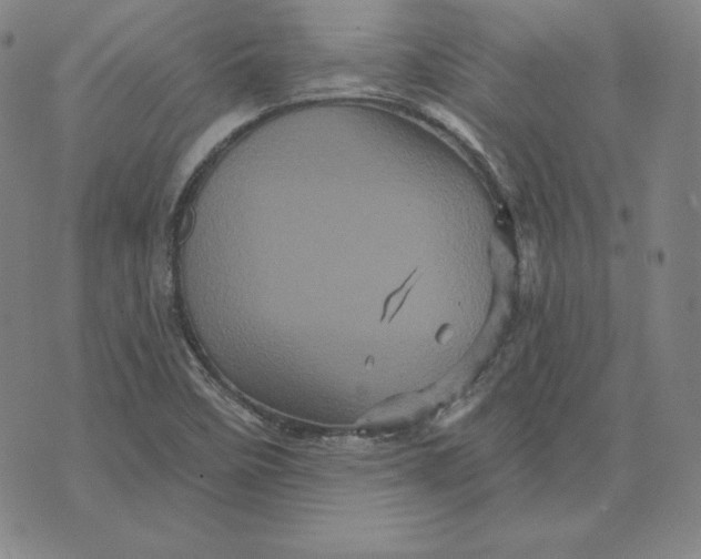 X0000074011458200609111611