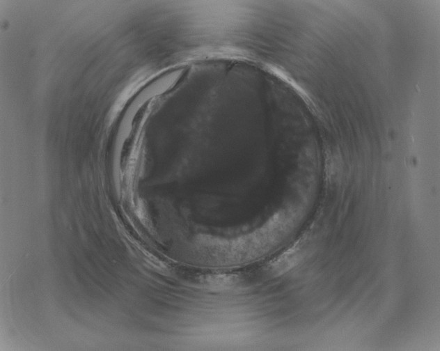 X0000074011459200609111611