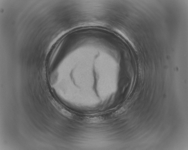 X0000074011460200609111611