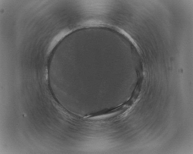 X0000074011461200609111611