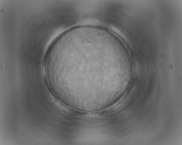 X0000074011462200609111611