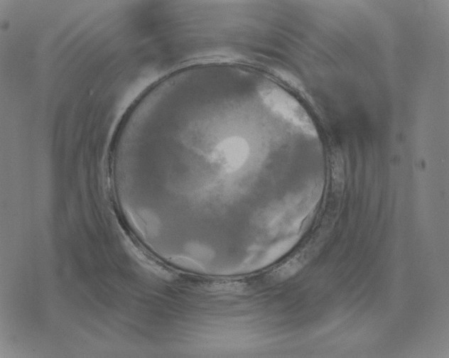 X0000074011466200609111611