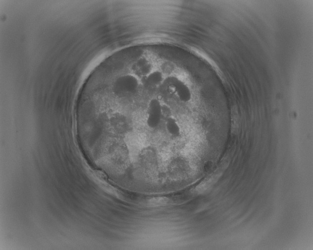 X0000074011467200609111611