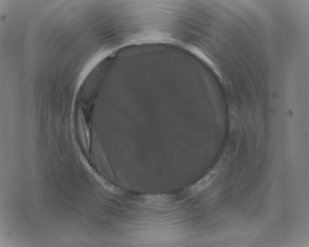 X0000074011469200609111611