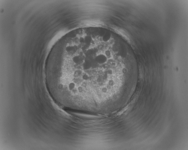 X0000074011471200609111611