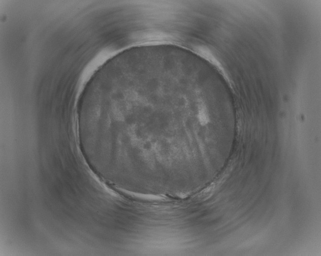 X0000074011472200609111611