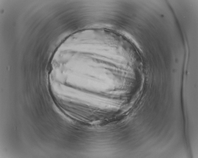 X0000074011476200609111611