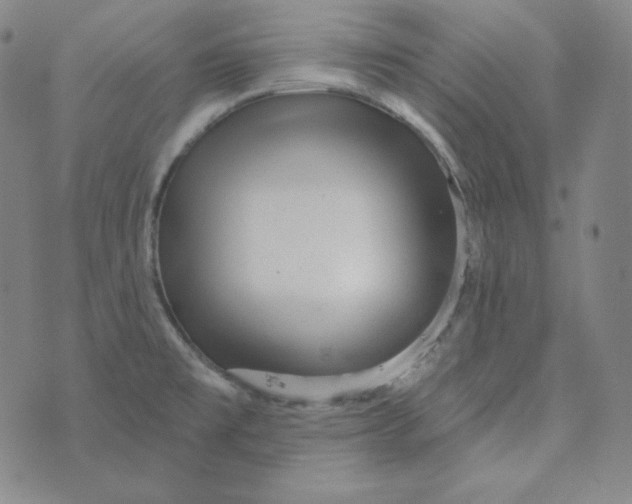 X0000074011477200609111611