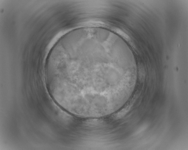 X0000074011478200609111611