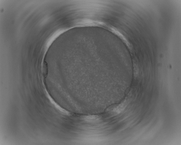 X0000074011479200609111611