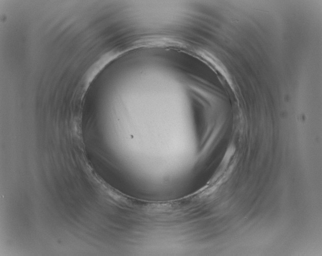 X0000074011481200609111611