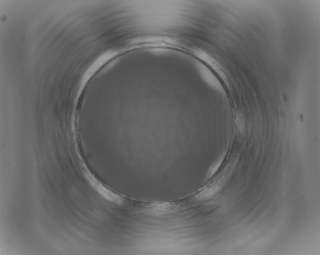 X0000074011482200609111611