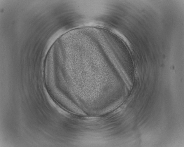 X0000074011483200609111611