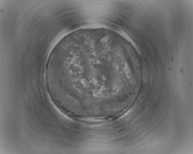 X0000074011484200609111611