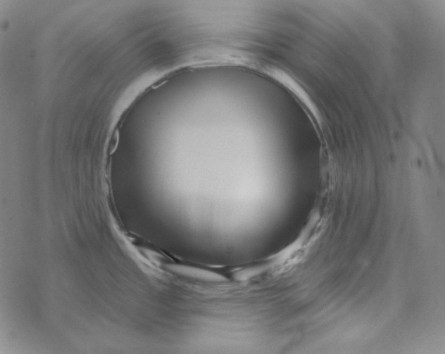 X0000074011485200609111611