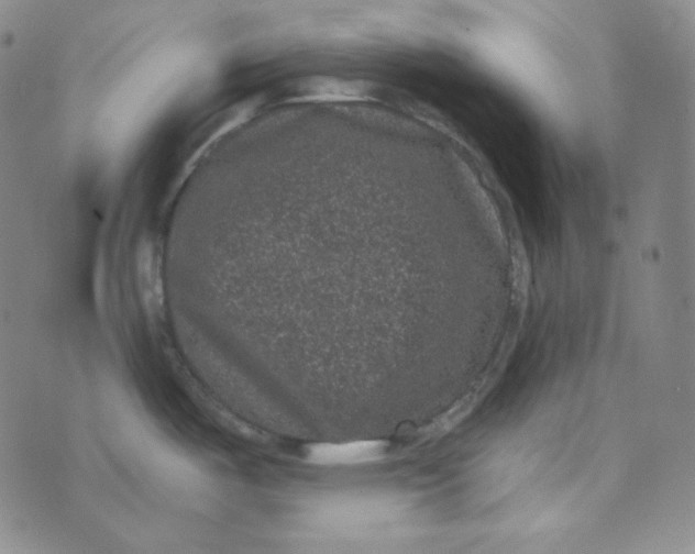 X0000074011487200609111611