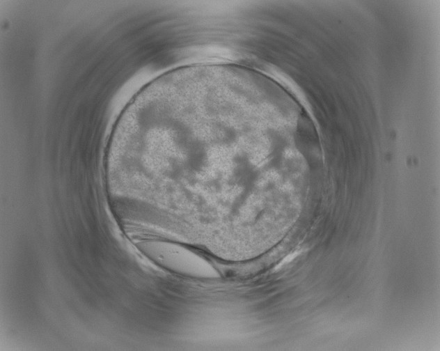 X0000074011488200609111611