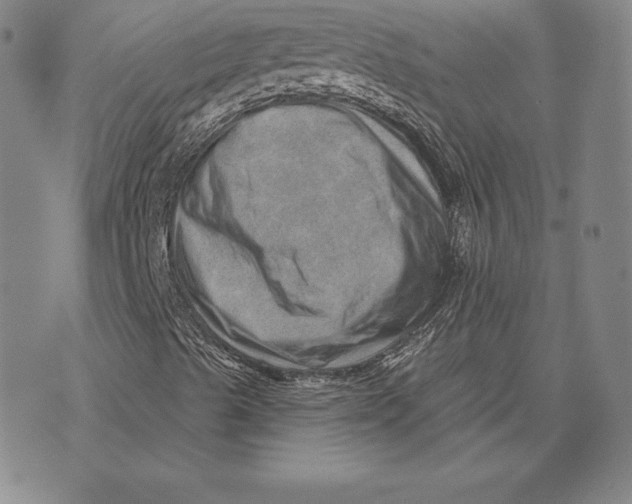 X0000074011489200609111610