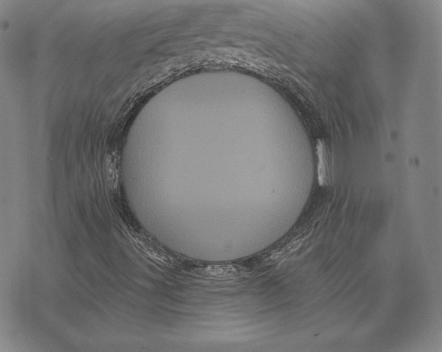 X0000074011491200609111610