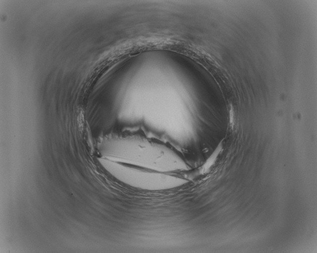 X0000074011492200609111610